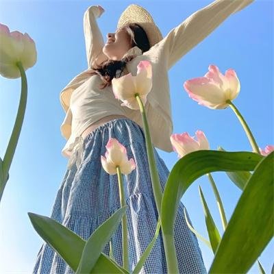 海军罪案调查处第十七季