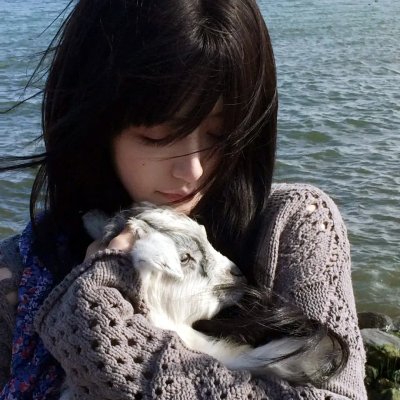 室井慎次不败之人